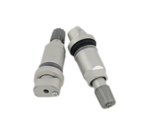 Zawór TPMS-02 SIEMENS/VDO TG1B